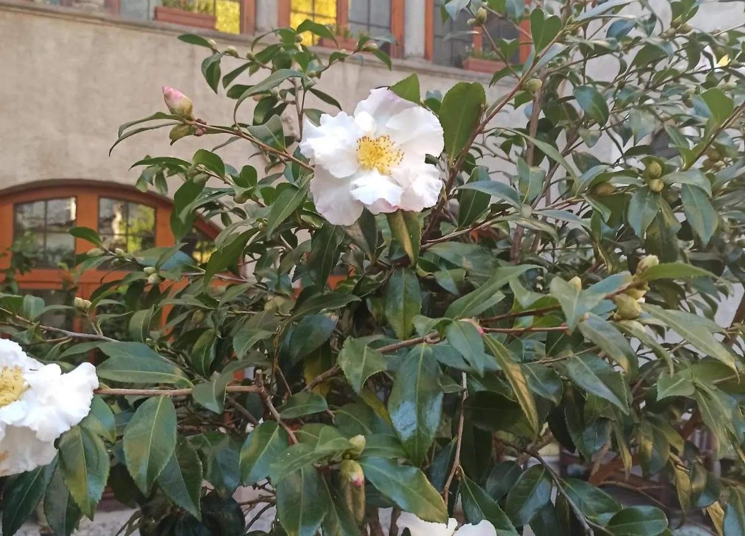 ** Bed & Breakfast B&B Di Charme Palazzo Lambertenghi Tirano Italy